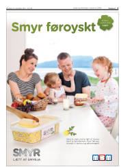 Síða 5