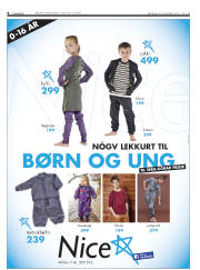 Síða 8