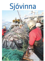 Síða 11