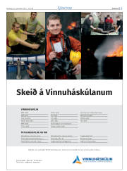 Síða 13