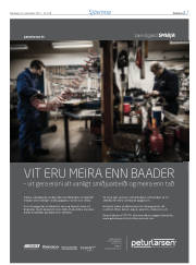 Síða 17