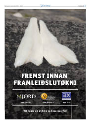 Síða 19