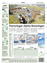 Síða 15