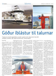 Síða 26