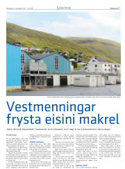 Síða 27
