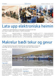 Síða 30