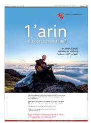 Síða 33