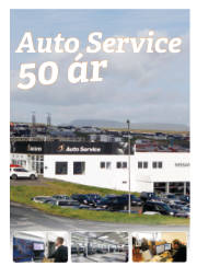 Síða 41