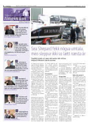 Síða 6