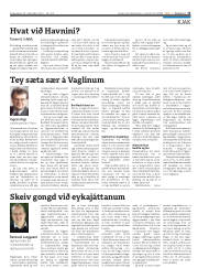 Síða 13