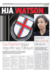Síða 11