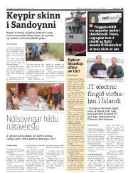 Síða 19