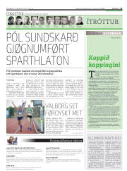 Síða 31