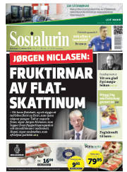 Síða 1