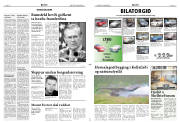 Síða 11
