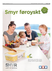 Síða 11
