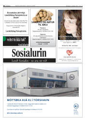 Síða 24