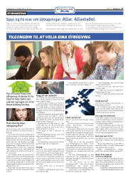 Síða 17