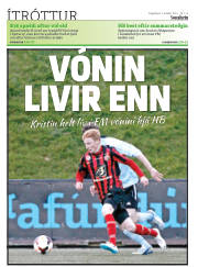 Síða 32