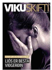 Síða 33