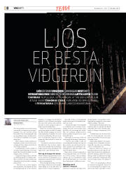 Síða 40