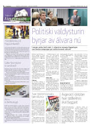 Síða 8