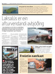 Síða 12