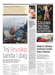 Síða 13