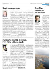 Síða 15