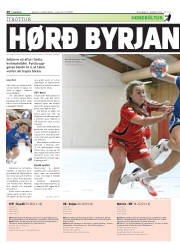 Síða 28