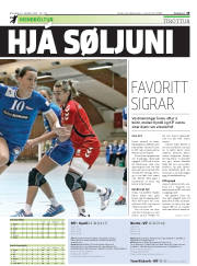 Síða 29