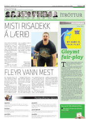 Síða 31