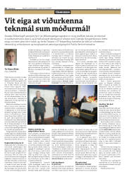 Síða 20