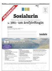 Síða 24