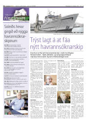 Síða 12