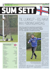 Síða 29