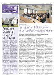 Síða 8