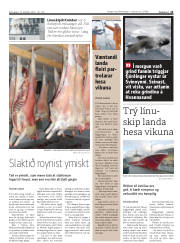 Síða 13