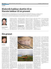 Síða 14