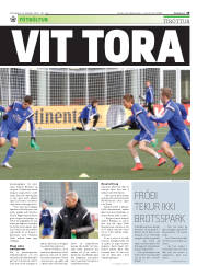 Síða 29