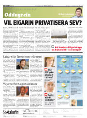 Síða 2