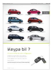Síða 17