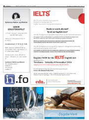 Síða 20