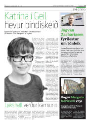 Síða 25
