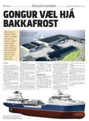Síða 40