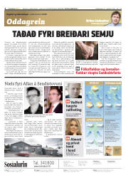 Síða 2