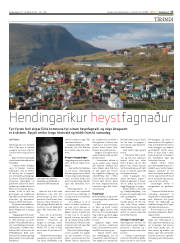 Síða 17
