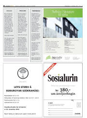 Síða 20
