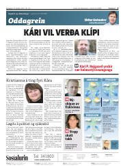 Síða 2