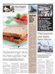 Síða 13